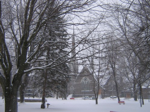 The First Presbyterian Church
