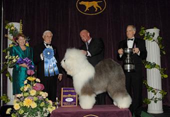 DN31271401_crop_exact