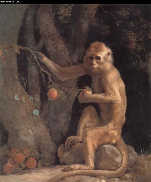 George Stubbs portrait of a monkey