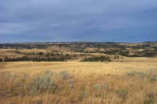 Site of the Battle of the Rosebud River 1876