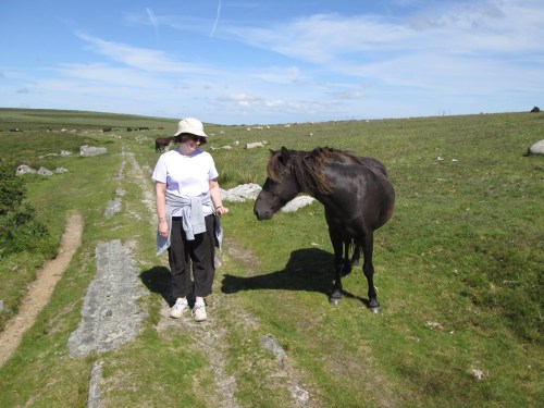 Mother prepares to pet a pony