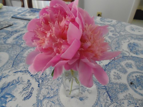 peonies 2013 006