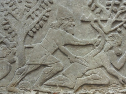 see how he uses his shield?