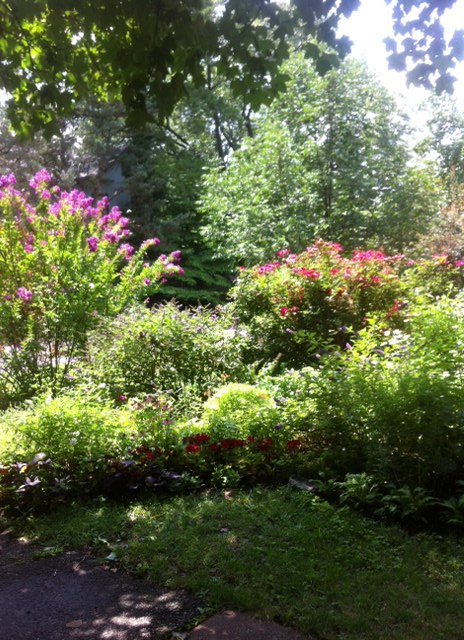 Carla's lush front yard