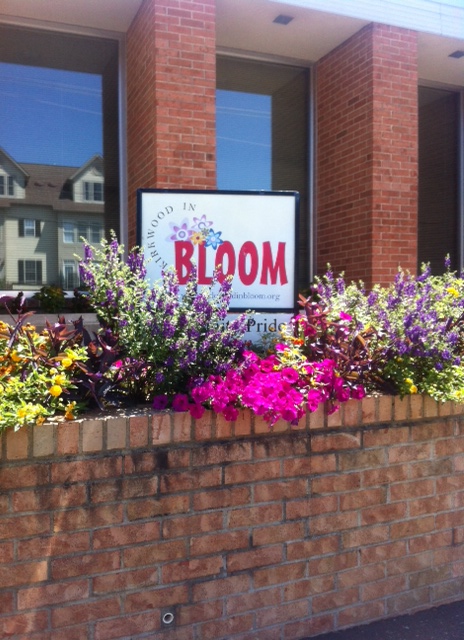 In front of the local P.O.