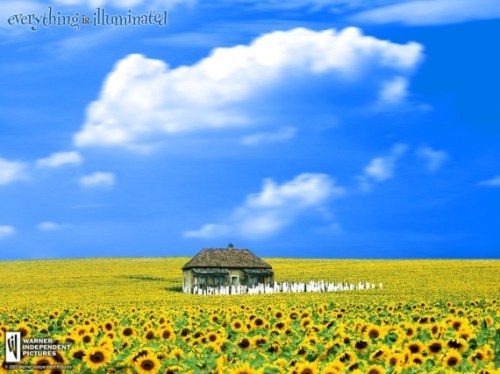 everything-illuminated-cookie-104709244