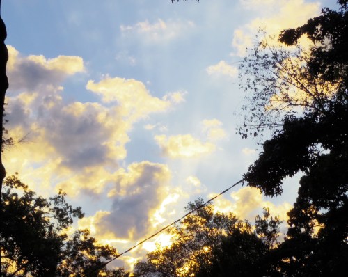 The view from my back door in the morning