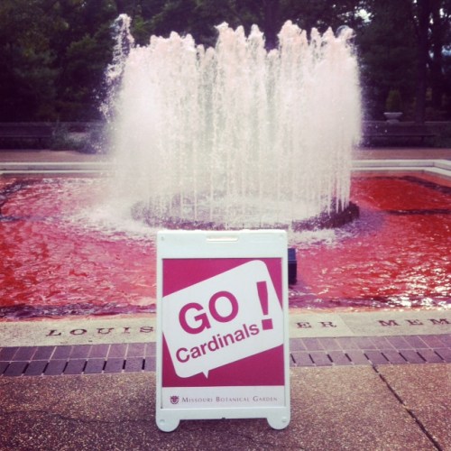 The Missouri Botanical Garden displays its Cardinal pride.