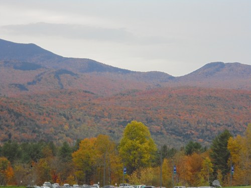 Imagine this view in the sun!