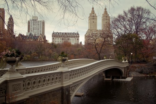 Bow_Bridge_in_Autumn,_Central_Park