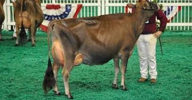 courtesy of the Ogdensburg Journal