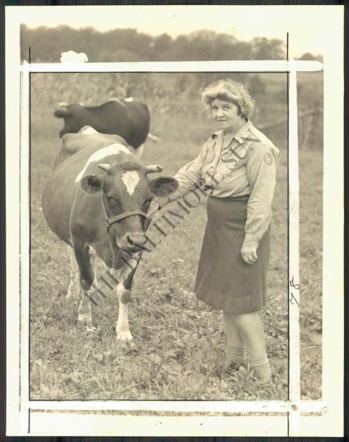 Found on Ebay (!). I've now bought this so it's okay to post.