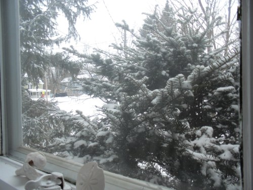 another 3" expected today