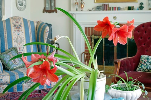 K3_Mar 09 2014_0376_edited-1