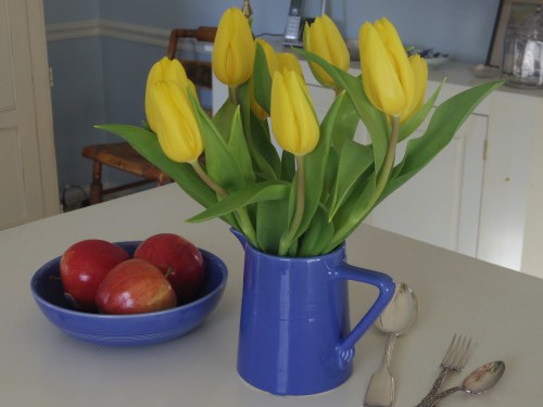 Tulips from the grocery store brighten my day.