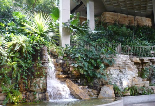 it needed a parrot or two