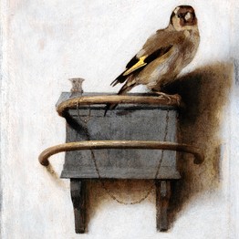 RV-AA329_MASTER_DV_20101012215103