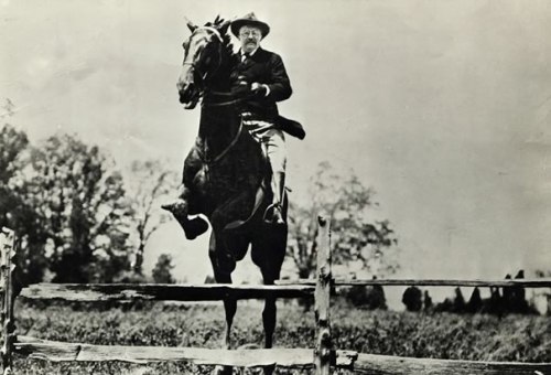 theodore-roosevelt-horse