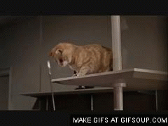 party_scene_breakfast_at_tiffanys-98121