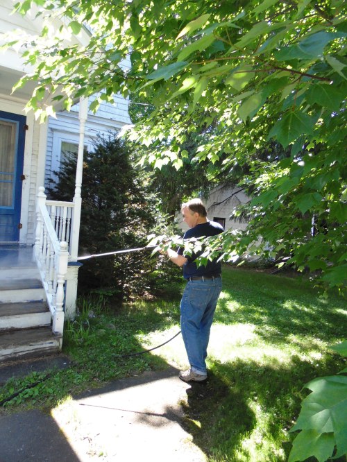 my very own Tim Allen