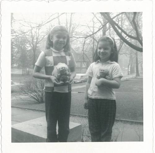 1383845_770969569640056_5004344412959271949_n