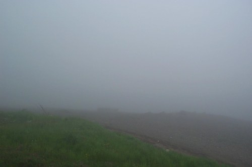 NB foggy day