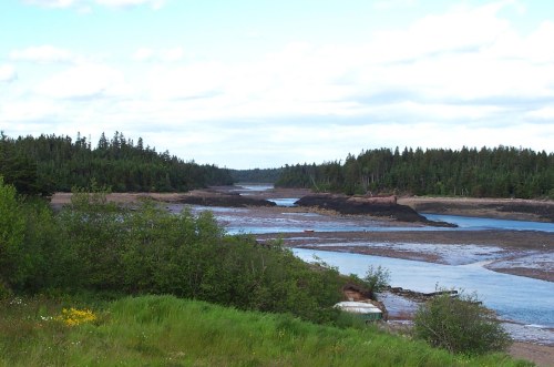 NB low tide2