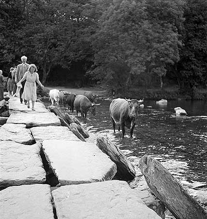 Photo by John Gay, 1953