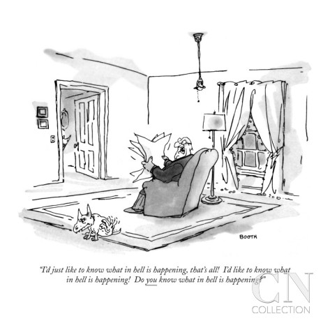 george-booth-i-d-just-like-to-know-what-in-hell-is-happening-that-s-all-i-d-like-to-new-yorker-cartoon