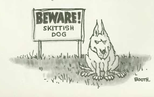 Screen Shot 2012-11-06 at 11.37.20 PM