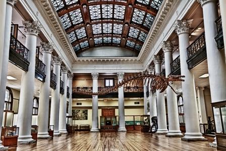Alabama-Museum-of-Natural-History