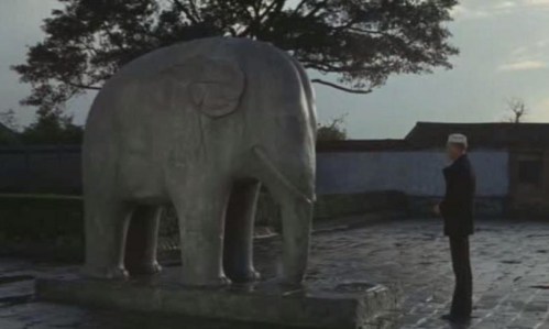 steve mcqueen & elephant