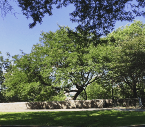 Screen shot 2015-09-14 at 10.17.43 AM