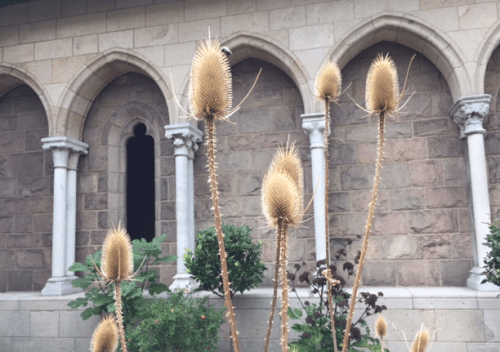 Screen shot 2015-09-14 at 2.15.25 PM