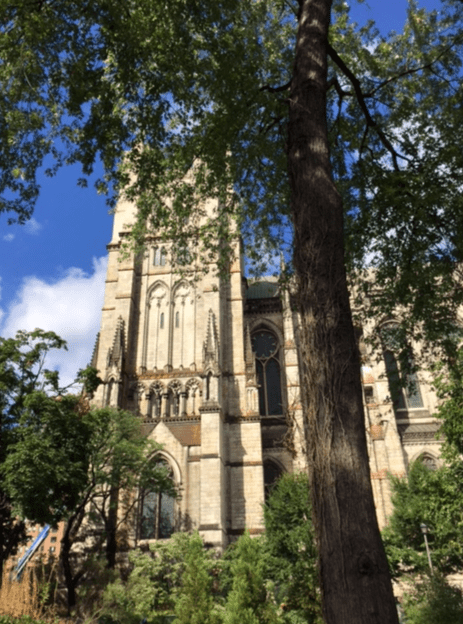 Screen shot 2015-09-14 at 2.16.16 PM