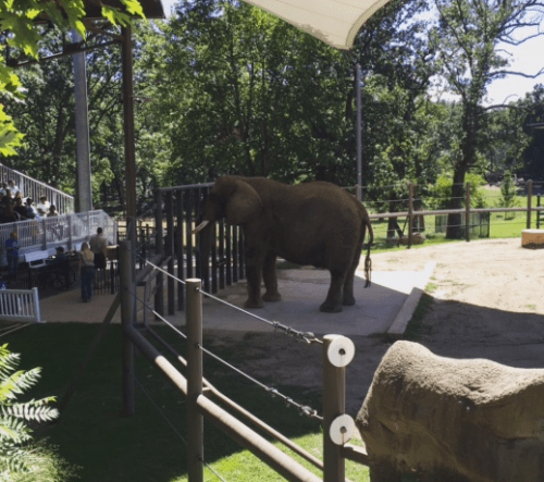 Screen shot 2015-09-21 at 3.08.17 PM