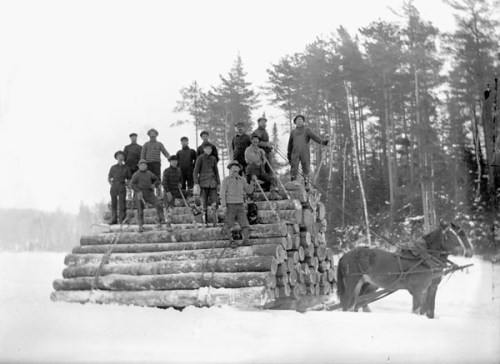 Horses_hauling_logs_in_the_Ottawa_Valley_Ottawa