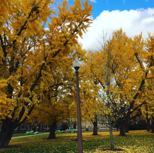 Screen shot 2015-11-19 at 11.26.25 AM