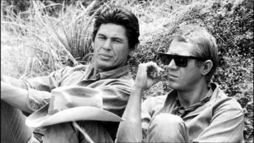 tumblr_lm1r71Fo4U1qz5q5oo1_500