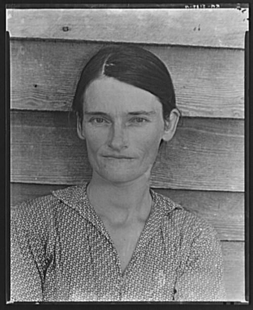 walker-evans