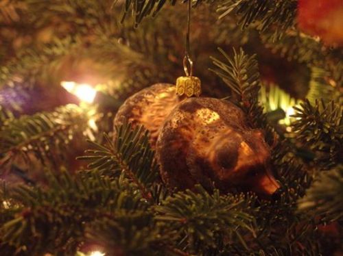 12348156_1048738115147292_6374752699695843453_n