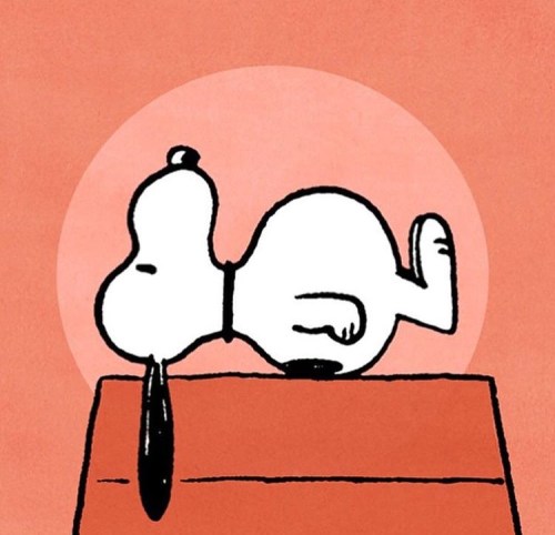 snoopyFullSizeRender