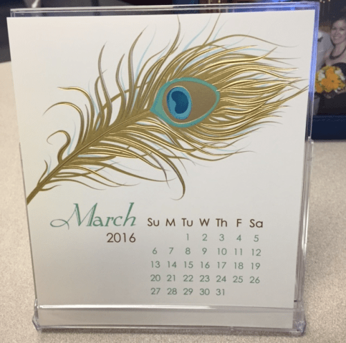 Screen Shot 2016-02-29 at 3.54.19 PM