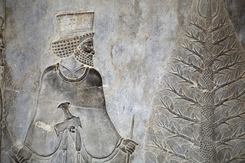 Xerxes and tree at Persepolis