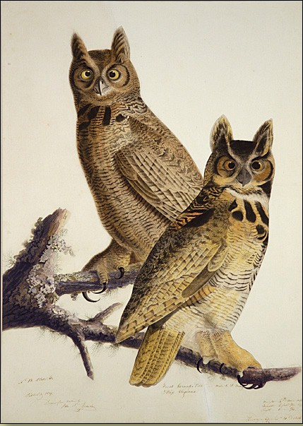 John James Audubon