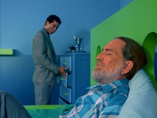 El Viejo Willie Nelson