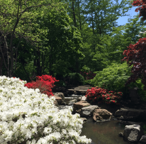 Screen Shot 2016-04-25 at 2.39.49 PM