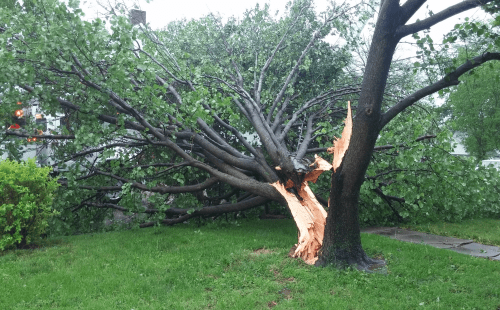 Screen Shot 2016-04-27 at 11.00.02 AM