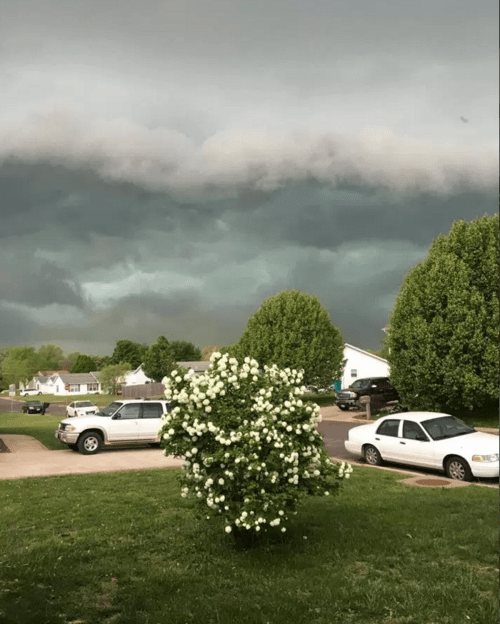 Screen Shot 2016-04-27 at 11.24.33 AM