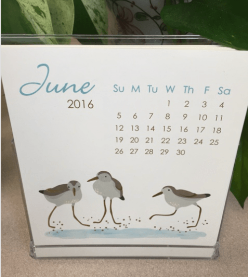 Screen Shot 2016-06-15 at 3.53.41 PM